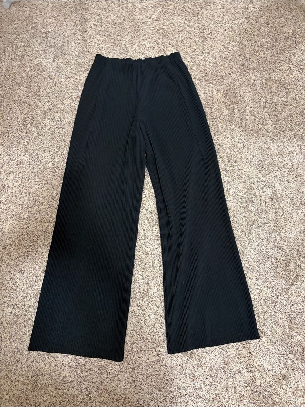 Ruti Black Wide-Leg Pleated Pants - Women's